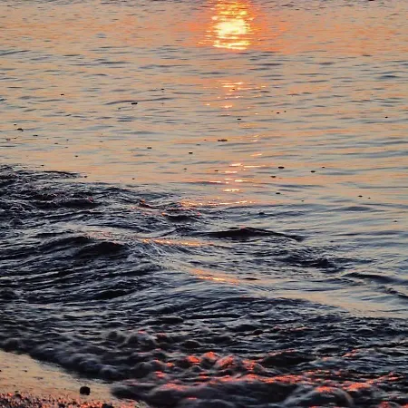 Springborn Ferienoase Zwischen Strand, Feld Und Wald * Biendorf
